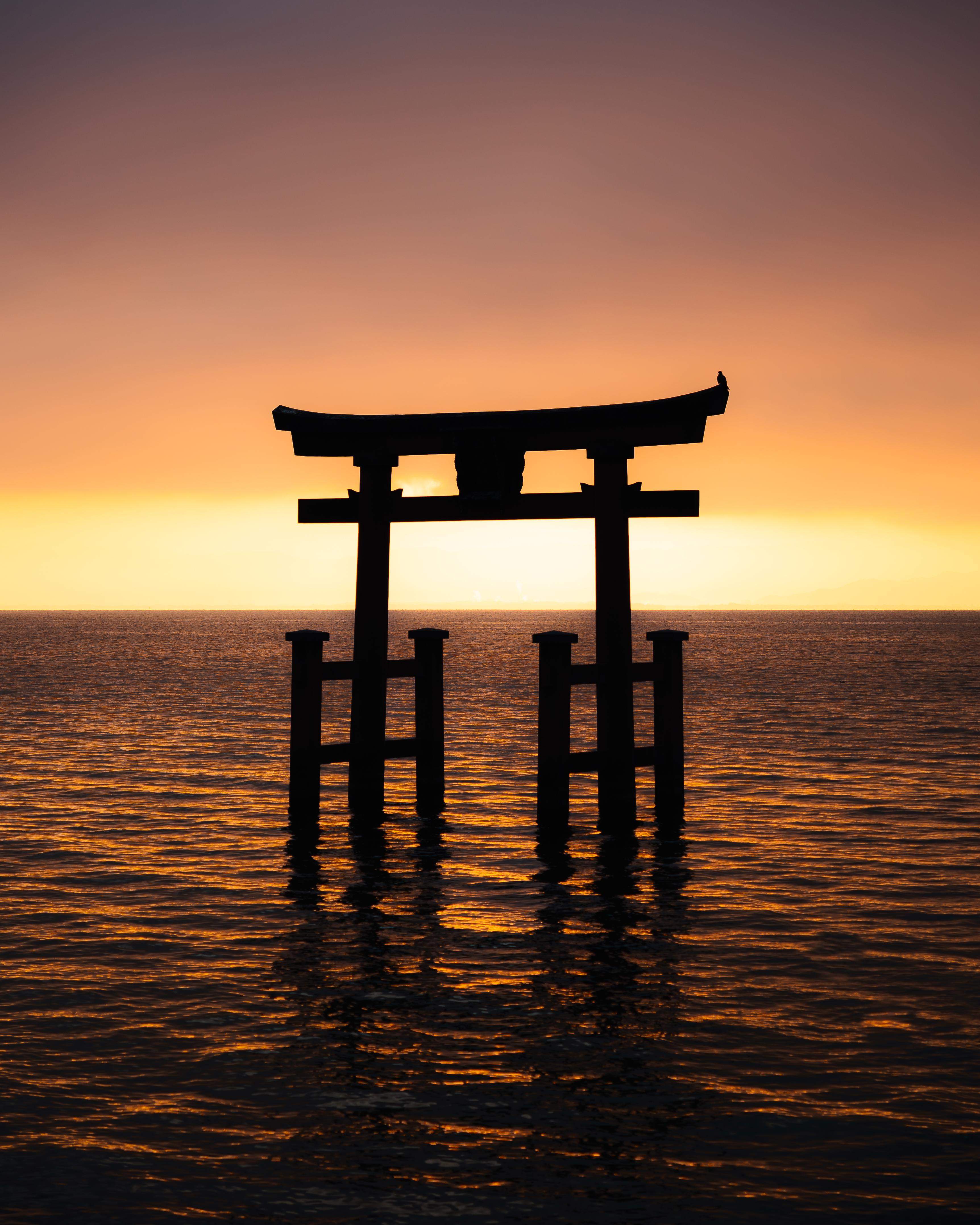⛩️ 시라히게 신사(白鬚神社) 이미지 4